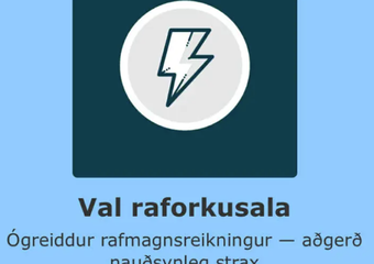 veitur_blt87329155a1789a72_2025-08-13_svikapostur2.png