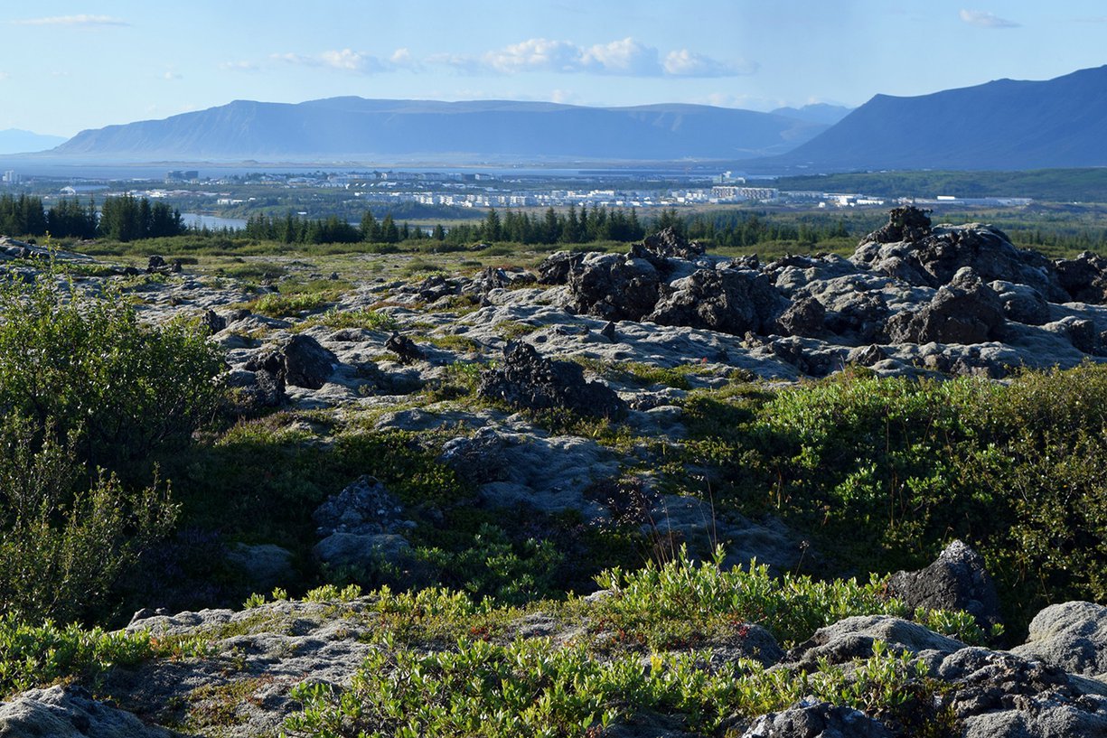 Heiðmörk