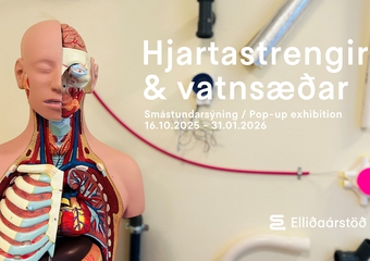 Hjartastrengir og vatnsæðar.jpg